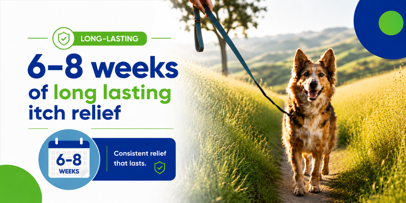 long-lasting Befrena. 6-8 weeks of long lasting itch relief for dogs