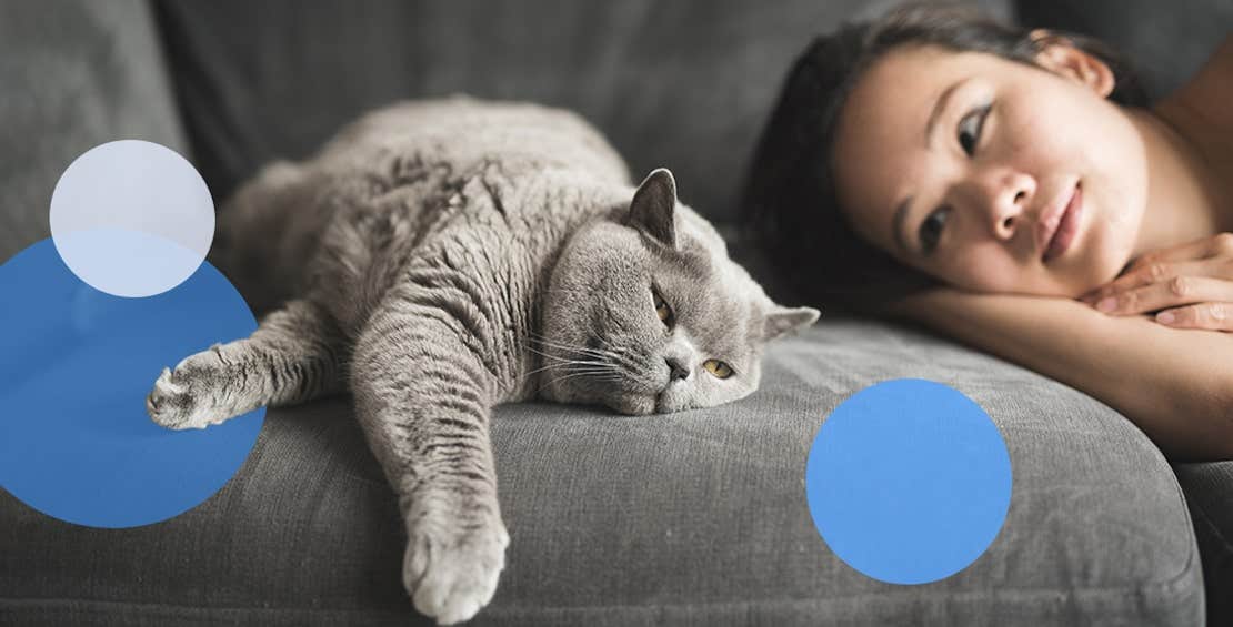 Cat taking a nap on sofa besides a girl