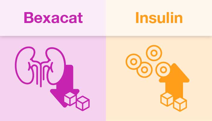 Bexacat and insulin sugar control comparison