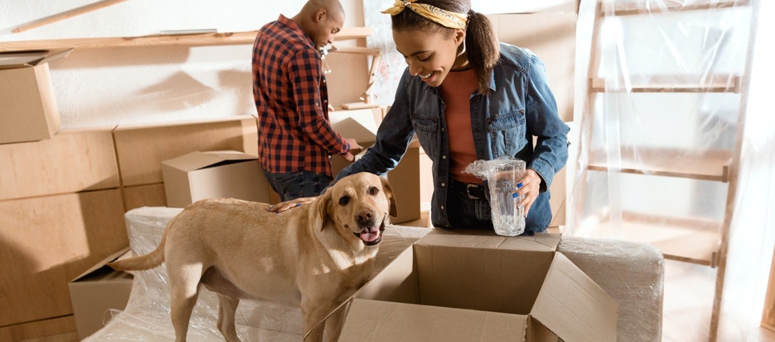 How to Help Make Moving with Pets Stress-Free