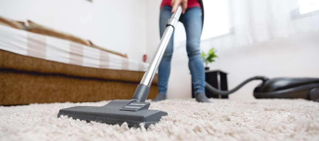 Pet owner vacuuming in the home – one recommended way to remove fleas from the home