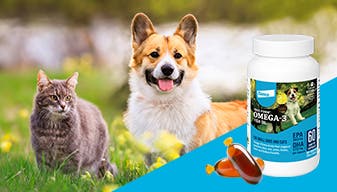 Small dog and cat outside with Free form omega-3 fish oil snip tips overlay 
