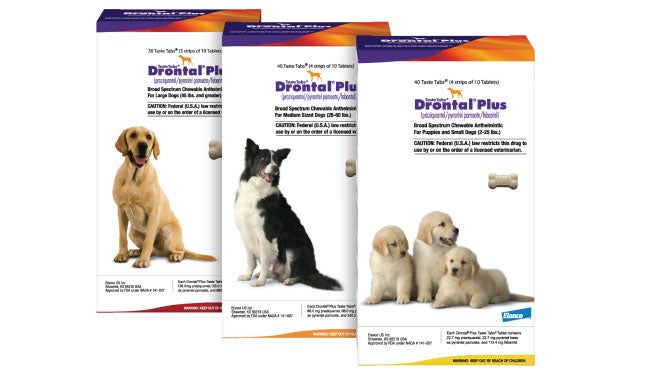Drontal Plus for Dogs package with bone tablet 