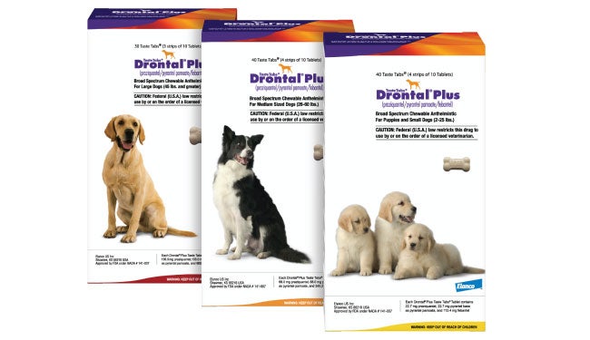 Buy drontal dog outlet wormer