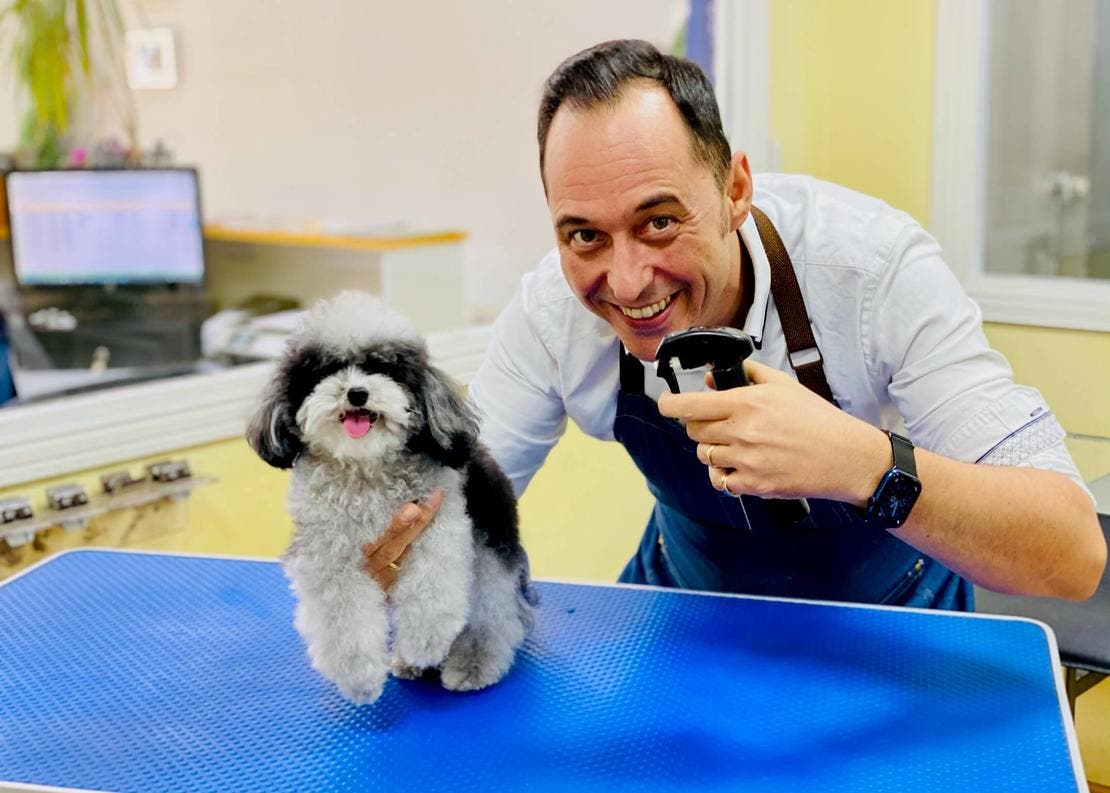 Pulverizadores cuidado caniche