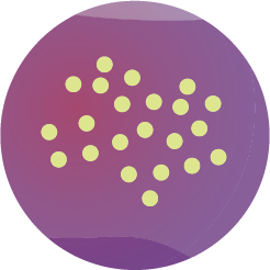 Neptra contains the antibiotic florfenicol