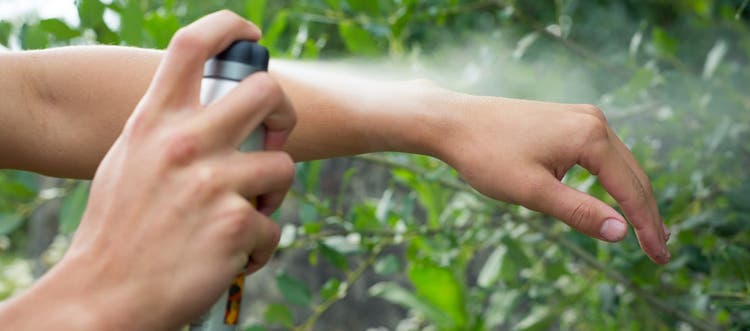 Person applying bug spray on his/her arm outside.