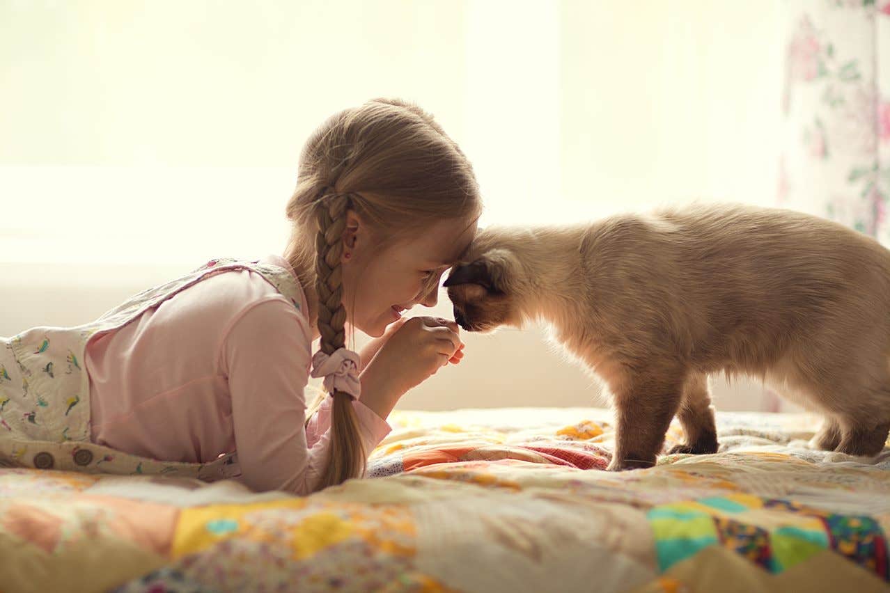 Menina com o seu gato no médico veterinário