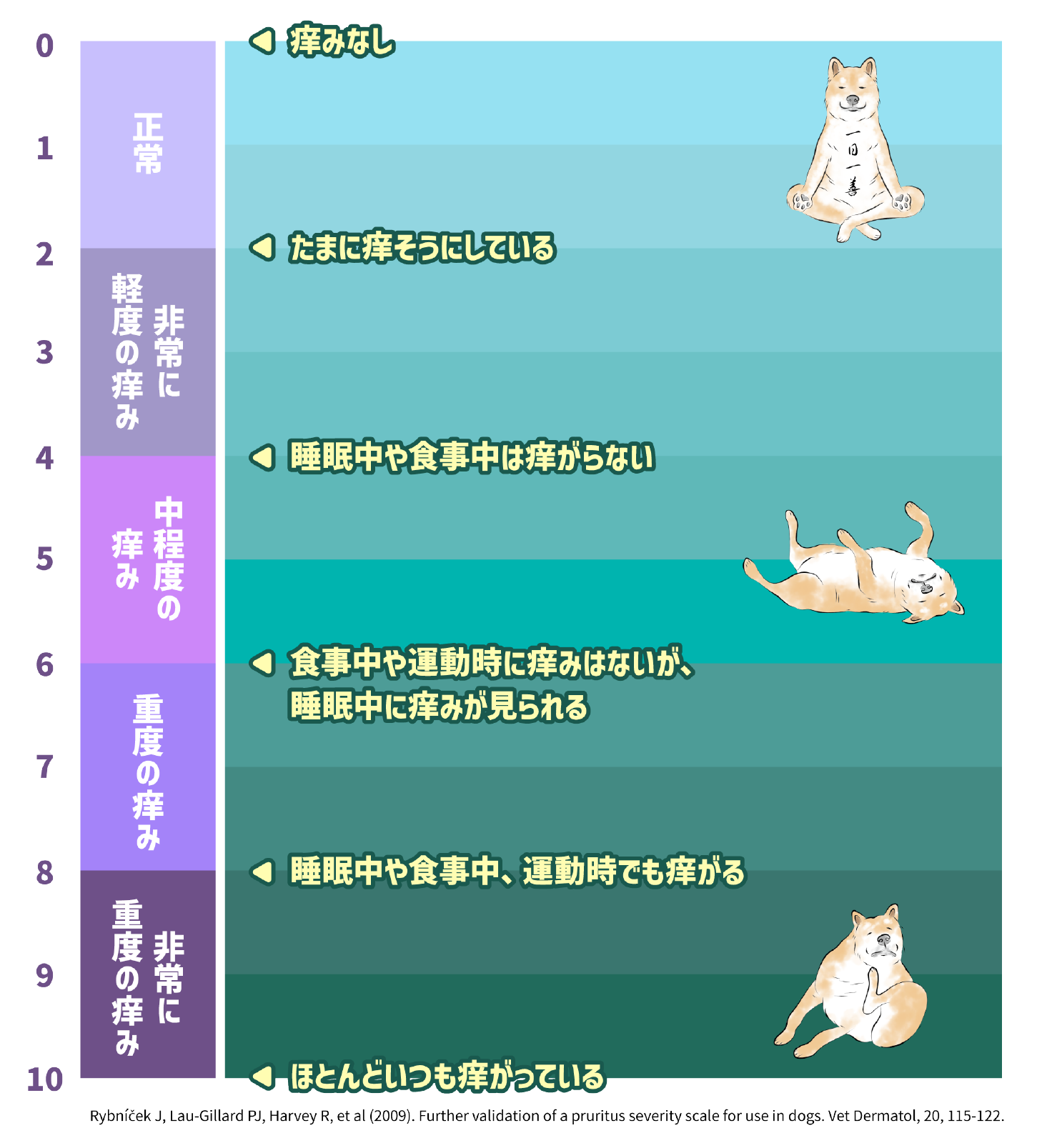 セルフチェック表