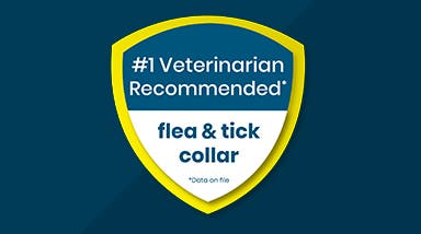 number one veterinarian recommended flea and tick collar shield