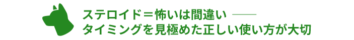 ステロイド＝怖いは間違い  ──
タイミングを見極めた正しい使い方が大切
