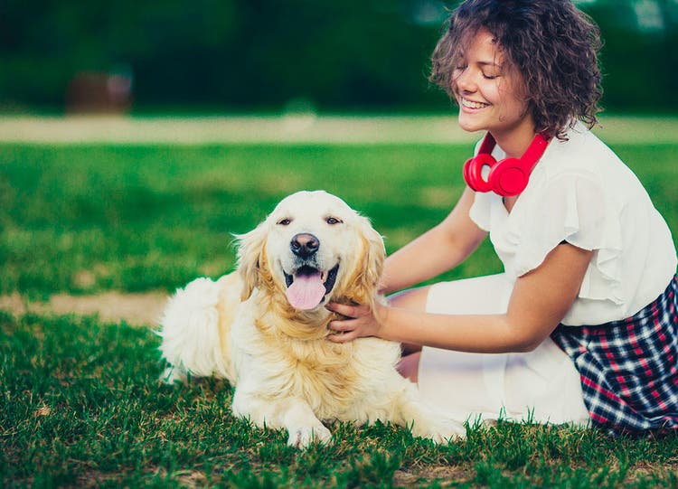 Junge Frau krault ihren Hund draußen im Park