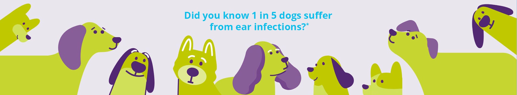 Ear infections in dogs can be painful