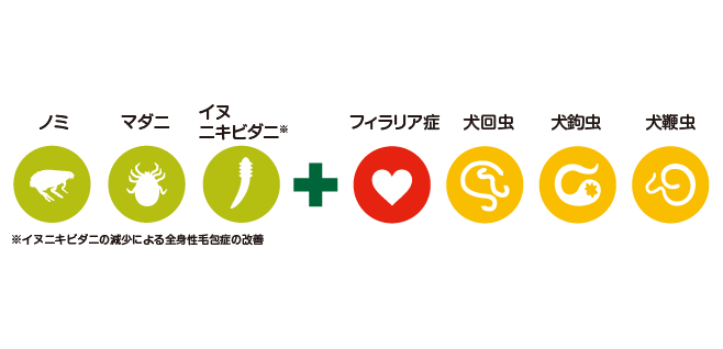 ノミ、マダニ、イヌニキビダニ＋フィラリア症、犬回虫、犬鉤虫、犬鞭虫の駆除に！おいしく！＋まとめて！寄生虫対策クレデリオプラス錠