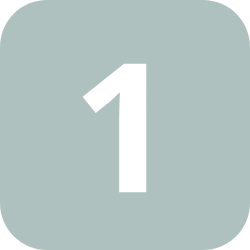 Icon 1