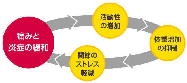 痛みと炎症の緩和