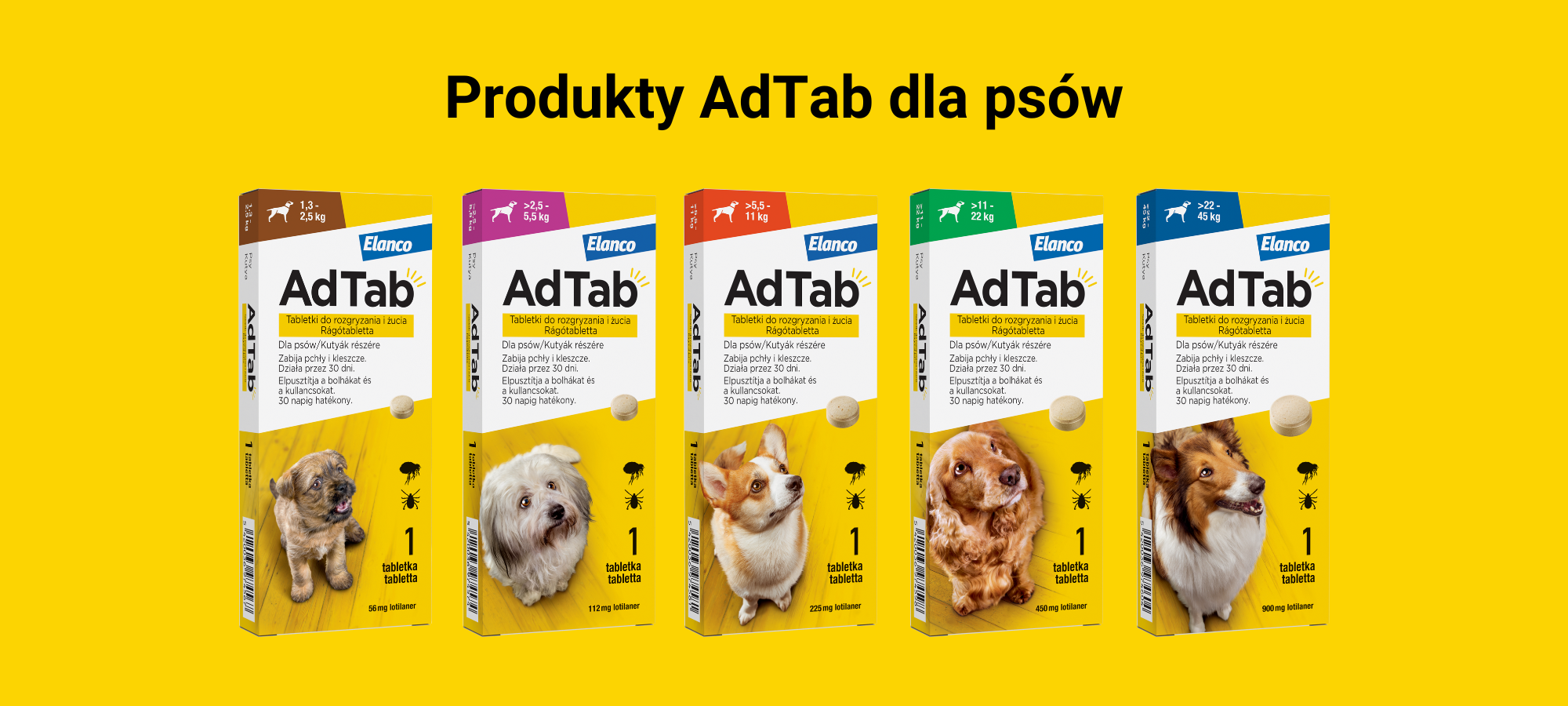 Tabletka na pchły i kleszcze dla psów AdTab