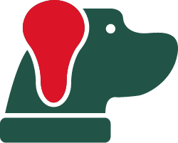 Itch can cause recurrent ear infections in dogs
