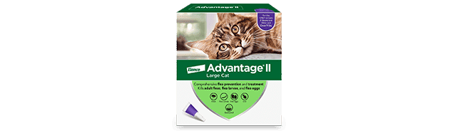 Advantage II For Large Cat Packaging