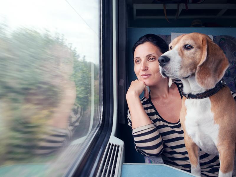 mujer con su perro mirando por la venta del tren