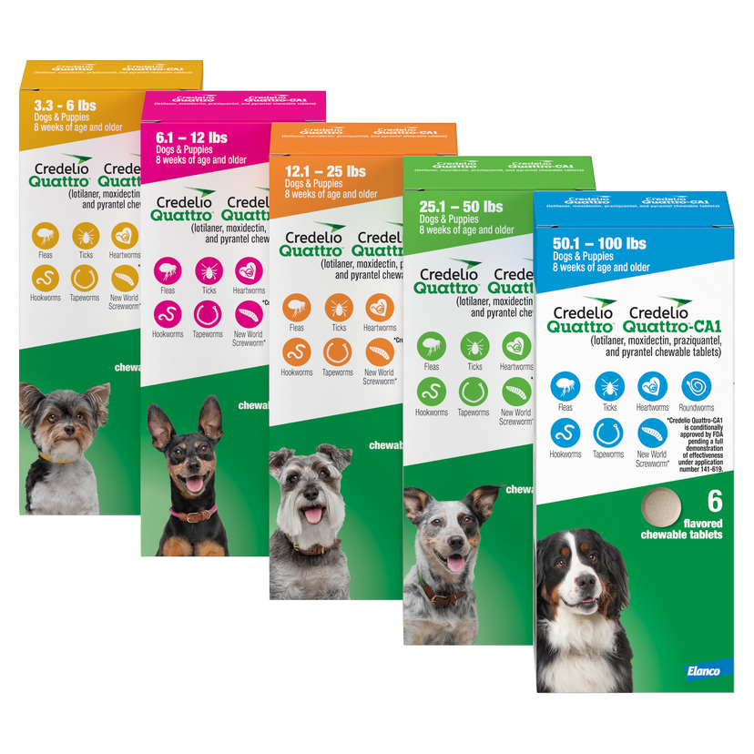 Credelio Quattro packages for dogs