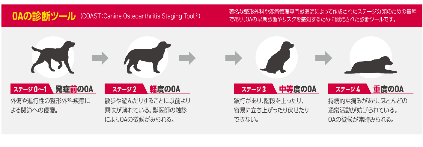 OAの診断ツール