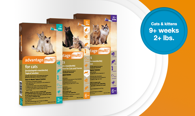 Advantage multi pack shots for cat and kittens' sizes
