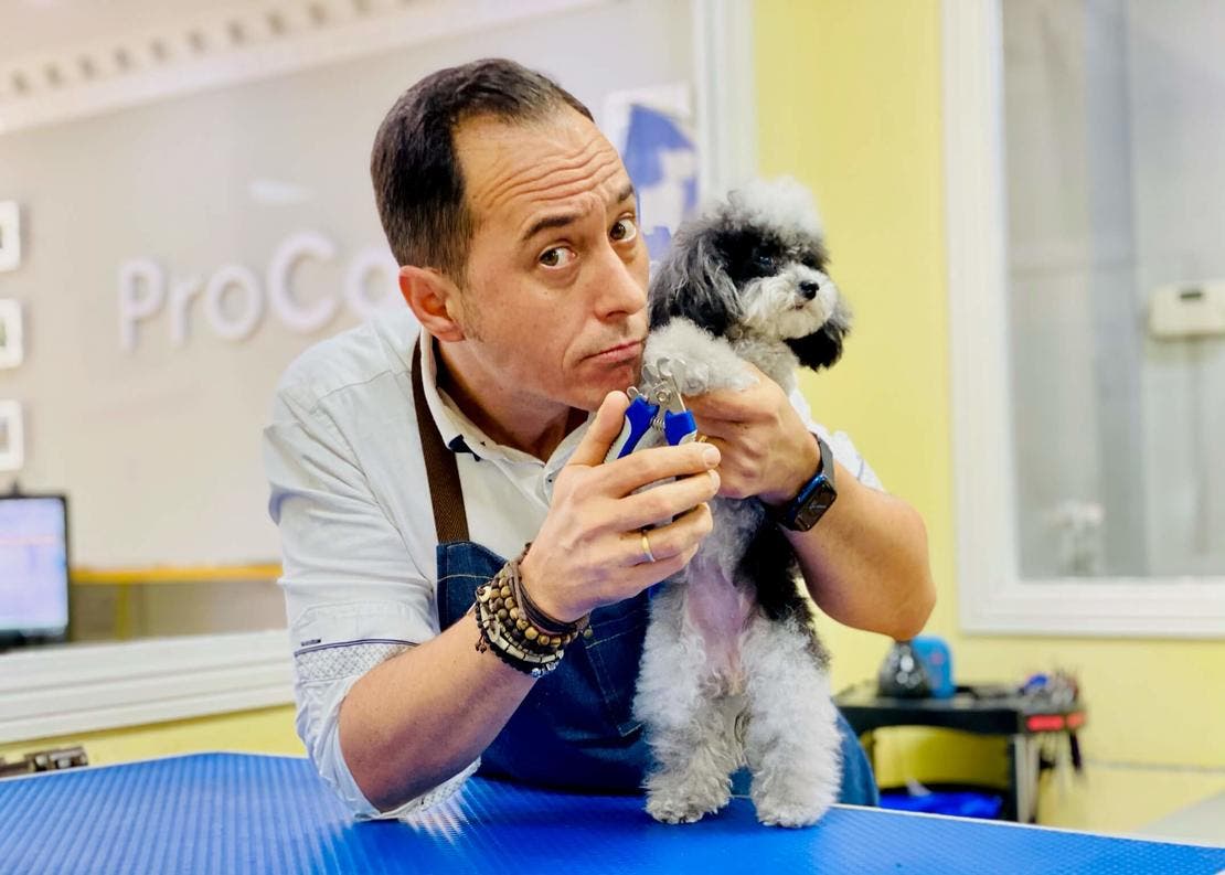 Corte uñas caniche
