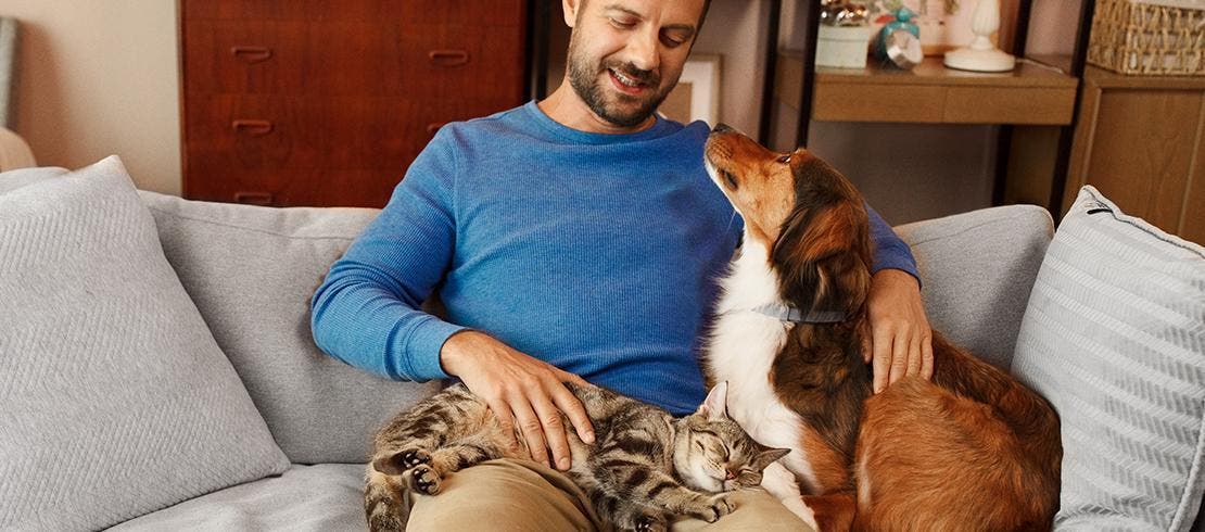 Dono relaxando no sofá e com gato e cachorro, ambos protegidos de carrapatos e pulgas com as coleiras Seresto Antipulgas e Carrapatos