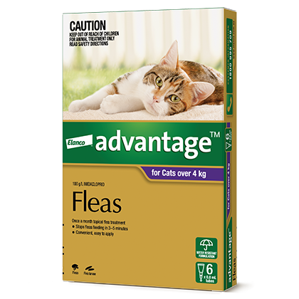 Advantage for cats over 4kg packshot