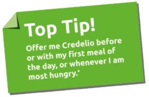 Credelio Cat top tip