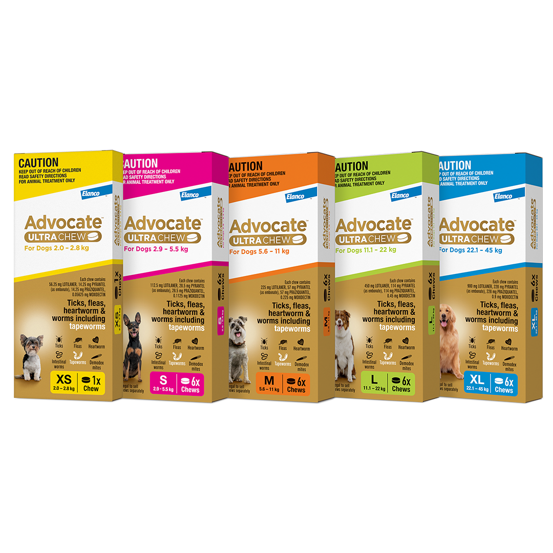 chewing tobacco for worms in dogs Advocate™ Ultra Chew: Broadest Spectrum Parasite Protection for Dogs*^