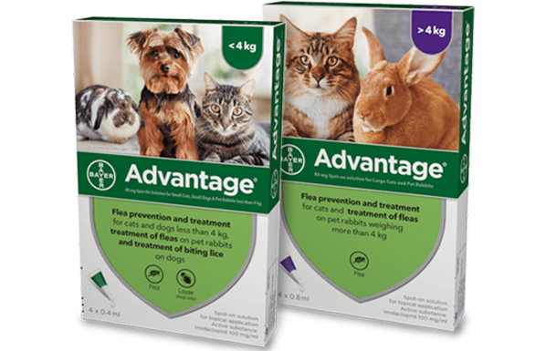 Advantage Cat Flea Treatment Range 