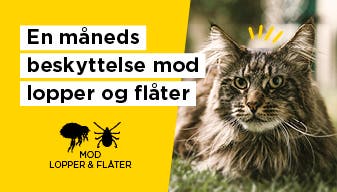 AdTabᵀᴹ tyggetabletter til katte, mod flåter og lopper