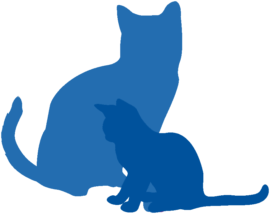 Adapté aux chatons et aux chats adultes