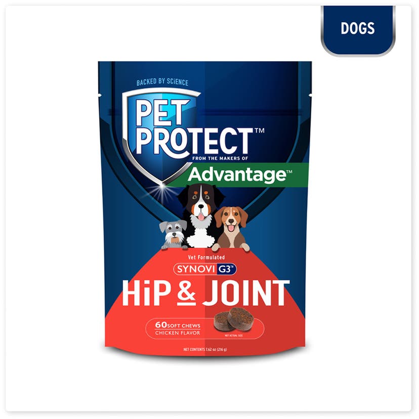 Pet Protect Hip and Joint with Synovi G3 supplement for dogs