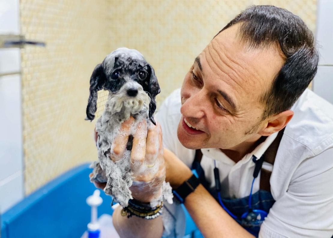 Baño del caniche