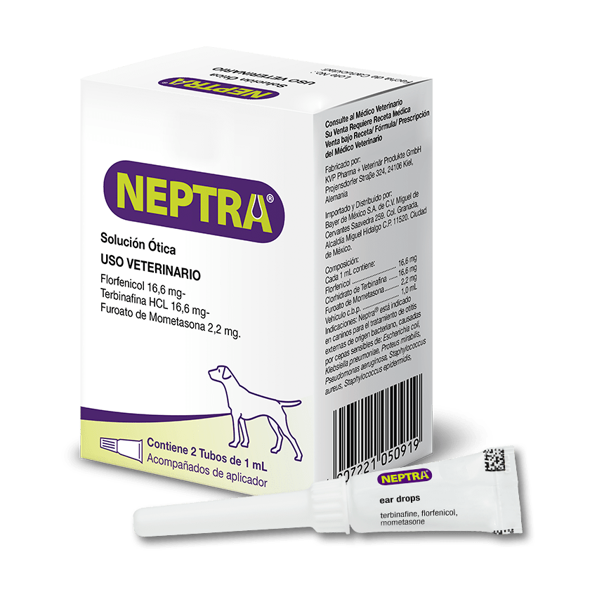 Acaba con la otitis externa en perros con Neptra®