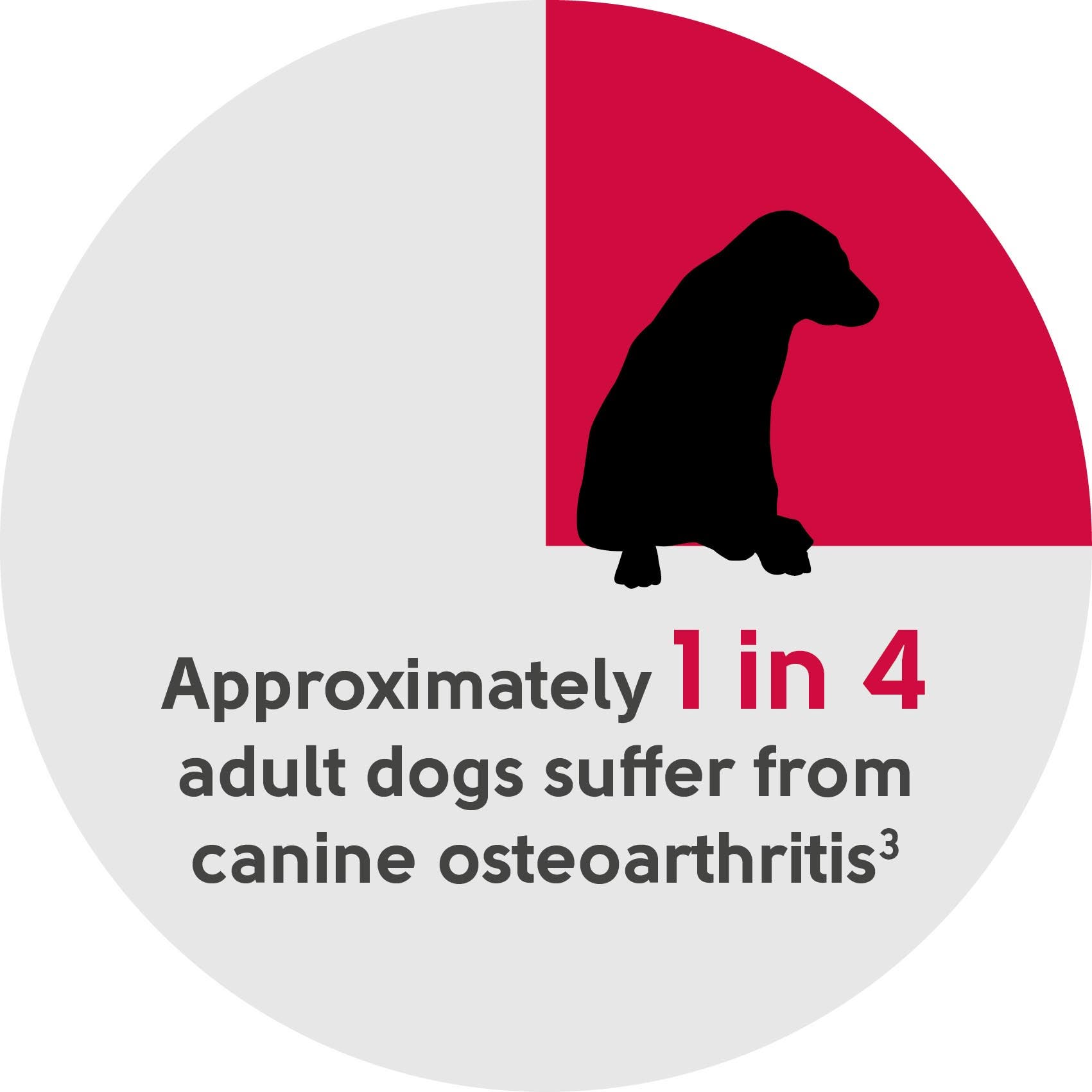 Approximately 1 in 4 dogs suffer from canine osteoarthritis