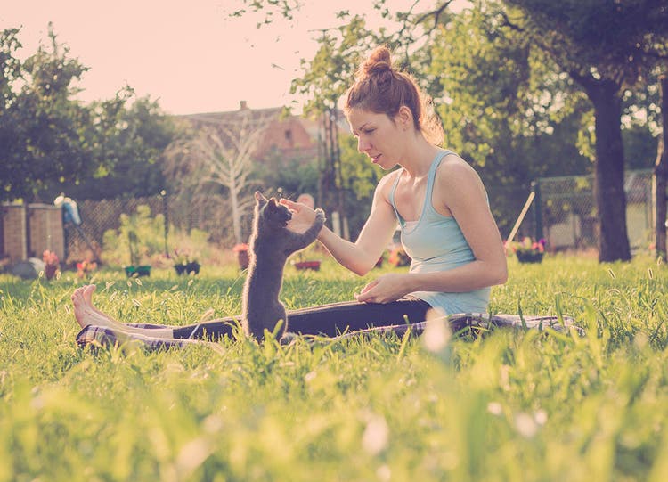 woman plays with cute cat in garden