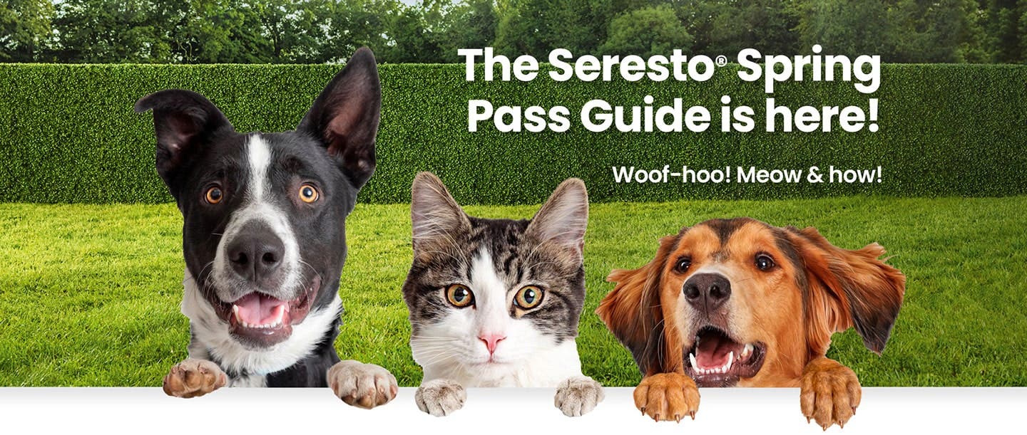 Dogs and cat in a springtime setting with their front paws atop of the website copy, as if they are looking over a fence.