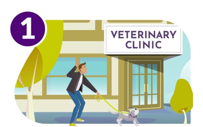 Dog and owner visiting vet clinic for dog ear infection treatment