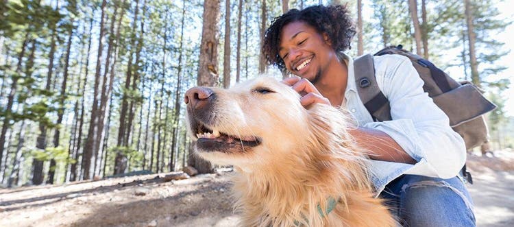 Man and dog hiking in the woods