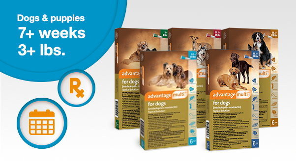 Advantage multi pack shots for dog sizes with prescription and dosage chart