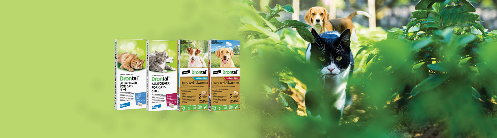 Drontal home page banner