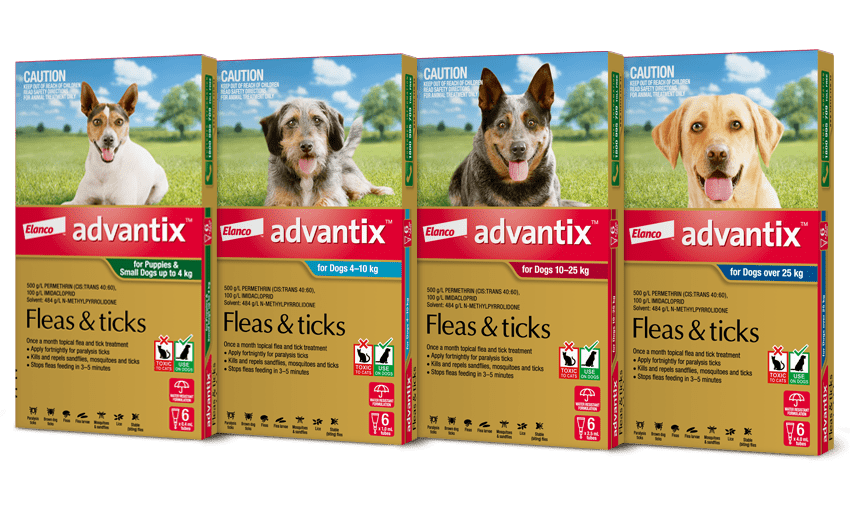 Advantix dogs group packshot