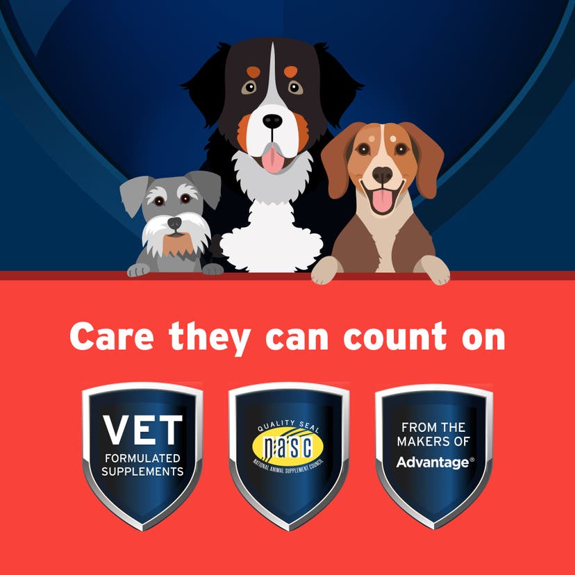 Petd protect supplements provide care your pets can count on. Vet formulated. NASC approved. From the makers of Advantage.