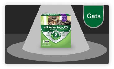 Advantage XD for Cats package under the spotlight