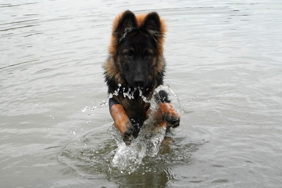  Otto_speelt_in_het_water