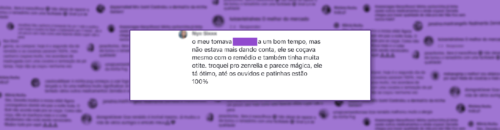 Depoimentos de cachorros sem coceira com uso do Zenrelia